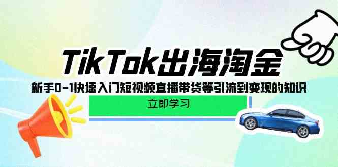 （10035期）TikTok-出海淘金，新手0-1快速入门短视频直播带货等引流到变现的知识-互联网项目分享基地-创业兼职副业项目六星资源网