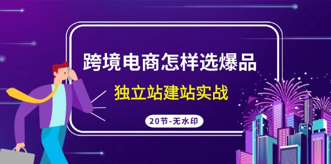 跨境电商怎样选爆品，独立站建站实战（20节高清课）-互联网项目分享基地-创业兼职副业项目六星资源网