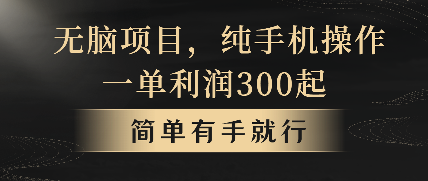 （10699期）无脑项目，一单几百块，轻松月入5w+，看完就能直接操作-互联网项目分享基地-创业兼职副业项目六星资源网