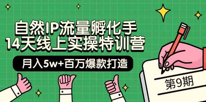 自然IP流量孵化手14天线上实操特训营【第9期】月入5w+百万爆款打造 (74节)-互联网项目分享基地-创业兼职副业项目六星资源网