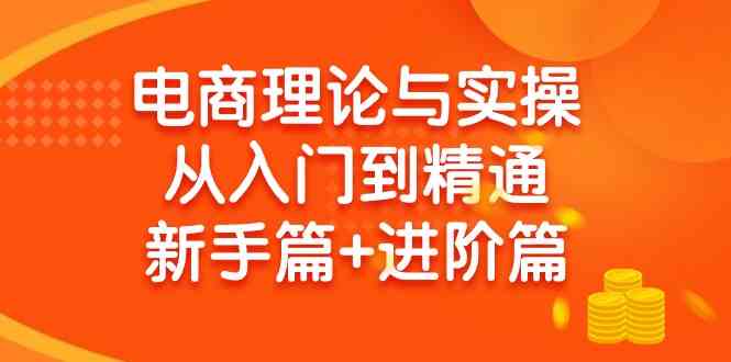 （9576期）电商理论与实操从入门到精通 新手篇+进阶篇-互联网项目分享基地-创业兼职副业项目六星资源网