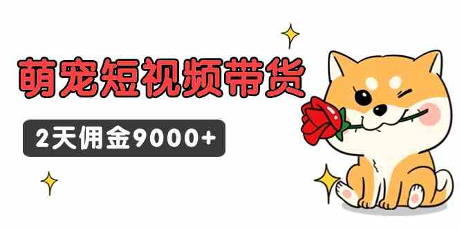 （9273期）东哲日记·萌宠短视频带货，2天佣金9000+-互联网项目分享基地-创业兼职副业项目六星资源网