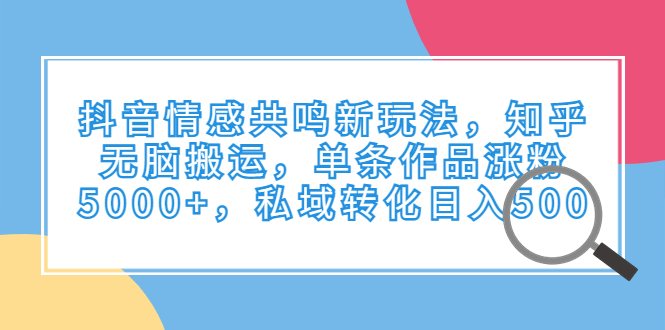 抖音情感共鸣新玩法，知乎无脑搬运，单条作品涨粉5000+，私域转化日入500-互联网项目分享基地-创业兼职副业项目六星资源网