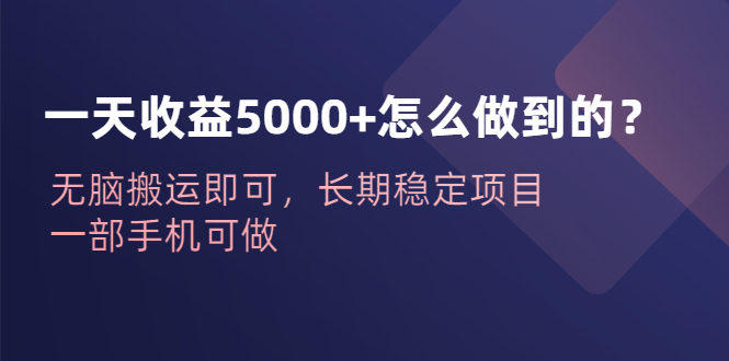 一天收益5000+怎么做到的？无脑搬运即可，长期稳定项目，一部手机可做-互联网项目分享基地-创业兼职副业项目六星资源网